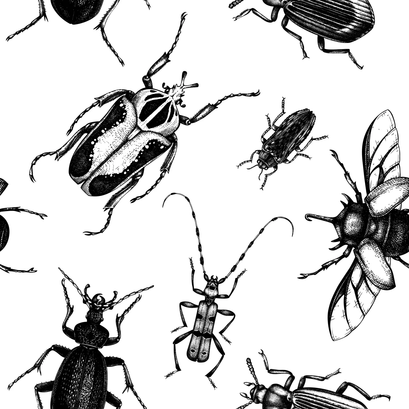 Vector backdrop with high detailed insects sketches. Hand drawn beetles illustrations in vintage style. Entomological seamless pattern. Beetles outlines background Illustration